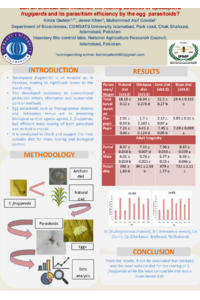 kinza qadeer_poster.pdf