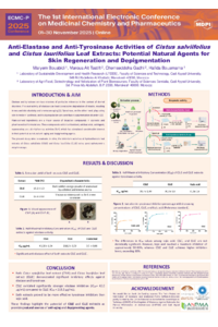Poster ECMC-P2025_M.Bouabidi.pdf