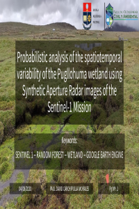 Carchipulla_David_I3S.pdf