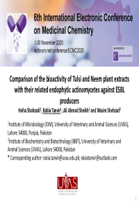 Final Presentation--Hafsa.pptx.pdf