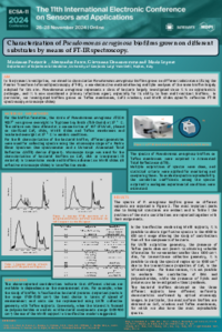Poster ECSA 11 PORTACCIO.pdf