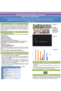 Poster R & L.pdf