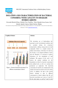 ISOLATION AND CHARACTERIZATION OF BACTERIAL CONSORTIA WITH CAPACITY TO DEGRADE HYDROCARBONS.pdf