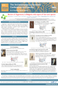 Naumova IECD poster sciforum - 097213.pdf