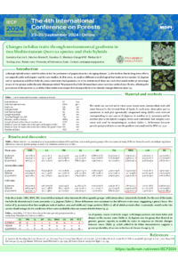 sciforum-095421_SantiagoJoseGonzalez.pdf