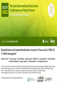 Quantification and immunolocalization of auxin in Prunus dulcis.pdf