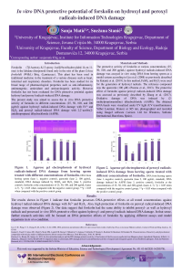 Submission ID sciforum 039735, Poster, Matić S and Stanić S, Abstract for 6th International Electronic Conference on Medicinal Chemistry.pdf