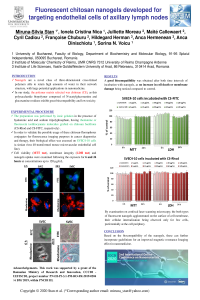 Poster - MS Stan.pdf