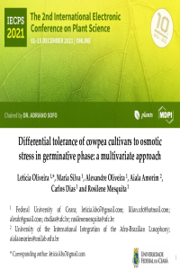 Presentation Slides - Letícia Oliveira.pdf