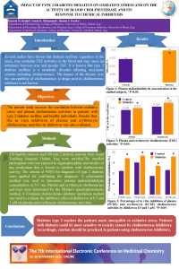Conference poster.pdf