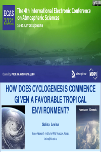 Levina_ECAS_2021_presentation.pdf