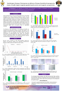 Poster_MNPs.pdf