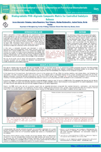 Biodegradable PHB–Alginate Composite Matrix for Controlled Endolysin Release (Poster).pdf
