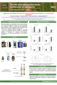 Poster_Electronic_Conference_2025_El_Hajjami.pdf