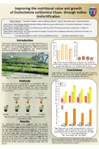 sciforum-151459.pdf