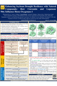 Soybean HO-1+C+L_updated .pdf