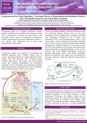 Poster.pdf