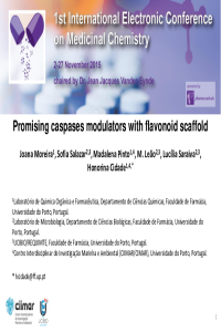 Honorina Cidade_Presentation.pdf