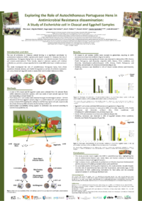 Poster_ECA2025_Jesus et al.pdf