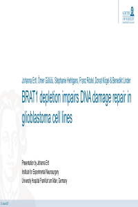 BRAT1_in_GBM_celllines_presentation.pdf