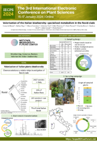 Poster_IECPS2024_LBisson.pdf
