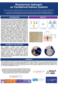 Poster_sciforum-081462.pdf