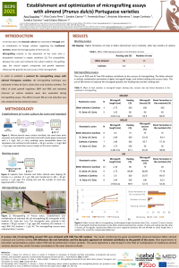 Poster_Establishment and optimization of micrografting assays with almond (Prunus dulcis) Portuguese varieties.pdf