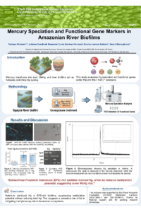 IOCE 2026 Poster Template_Tatiana_Pedron.pdf