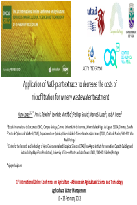 IOCAG2022_Presentation_Nuno Jorge.pdf