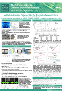Sciforum_poster_山崎提出.pdf
