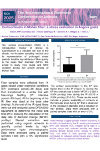 IECA 2025 Odeon POSTER.pdf