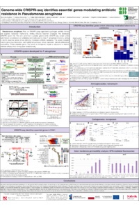 Antibiotics2026_weronika.pdf