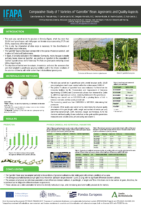Comparative Study of 7 Varieties of “Garrofón” Bean Agronomic and Quality Aspects. M. Cano.pdf