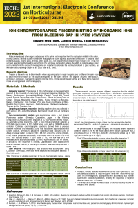 IC Muntean poster.pdf