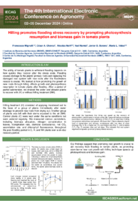 Poster- Mignolli.pdf