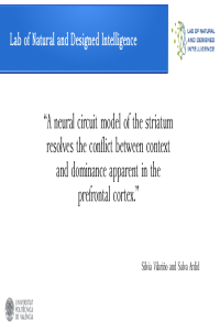 context_dominance_conflict.pdf
