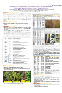 Poster_IOCAG25_Boraiah KM.pdf