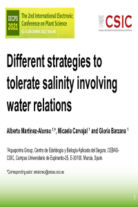 Presentation Martinez-Alonso et al. (2021).pdf
