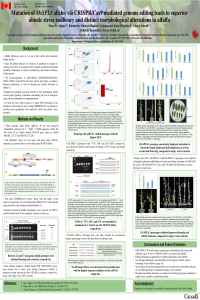 Poster_Stacy_Singer IECPS2020.pdf