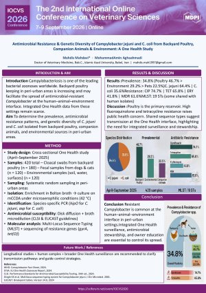 Sciforum-189035.pdf