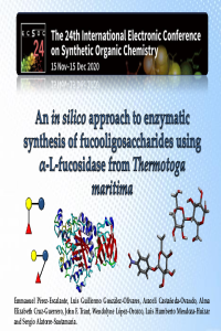 ECSOC 24 slides.pdf