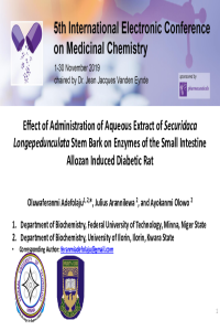 1.Electronic_Conference_on_Medicinal_Chemistry_PPT_template_file (1).pdf