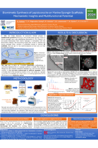 Poster - Online IOCB 2024.pdf
