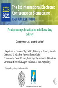 GiaritaFerraro_ECB2021.pdf