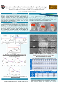 sciforum-112668.pdf
