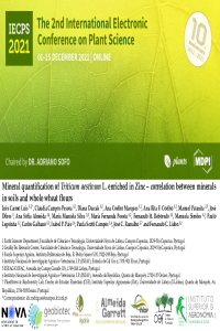 Presentation Plants_Luís et al2021.pdf