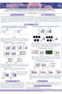 poster IECC.pdf