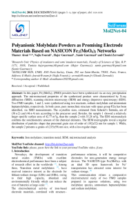 BioChemPhys template-Thamer.pdf