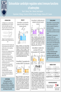 Taryn E. Murray- Cells2020 Conference Poster.pdf