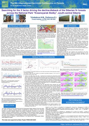 Tchebakova_IECF_2026.pdf